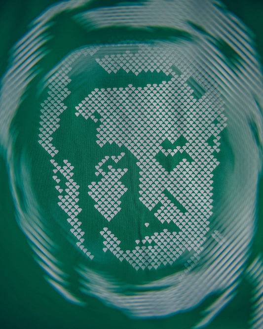 Sondertrikot "95 Jahre WSG"